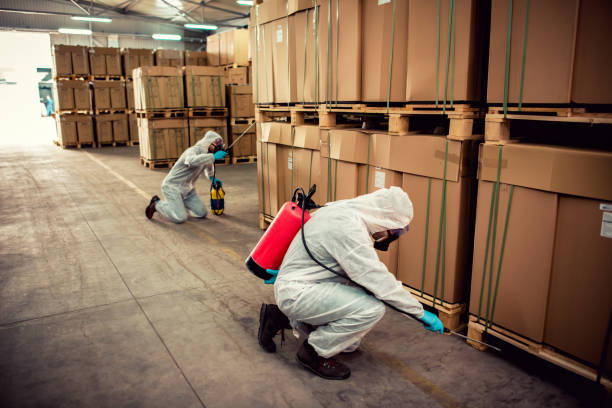 Best Residential Pest Control  in Ranger, TX