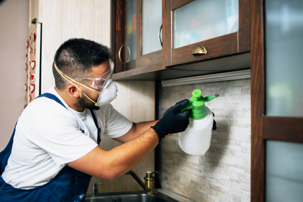 Best Affordable Pest Control Services  in Ranger, TX
