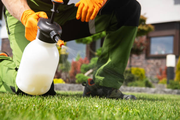 Best Best Pest Control Companies  in Ranger, TX