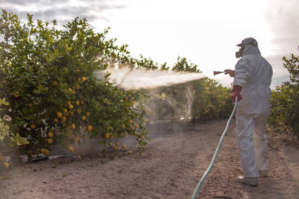 Best Mosquito Control Services  in Ranger, TX
