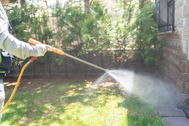 Professional Pest Control in Ranger, TX