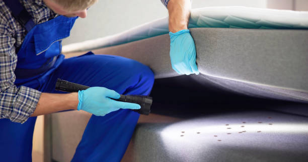 Best Pest Prevention Services  in Ranger, TX
