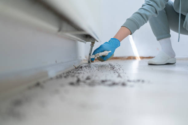 Best Exterminator Services  in Ranger, TX